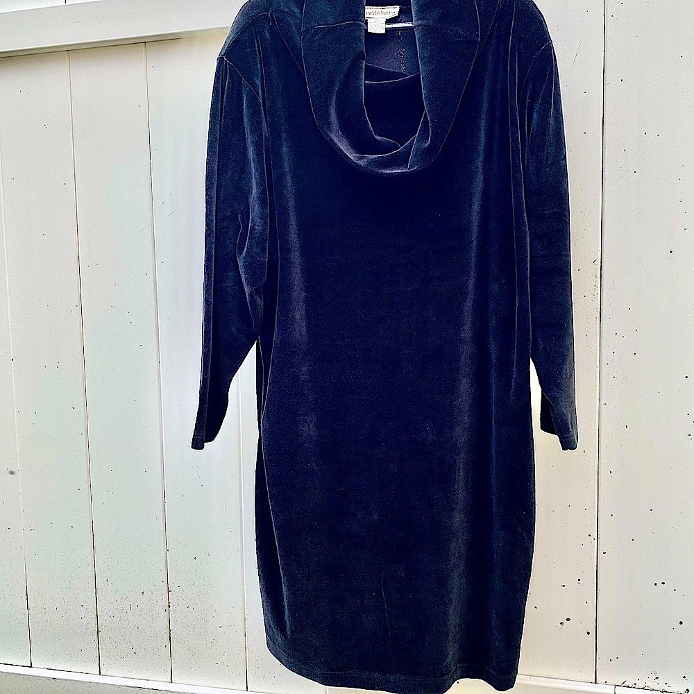 Plus 1X Velvet, Cowl Neck, August Max Dress, Long sleeves - Picture 2 of 8